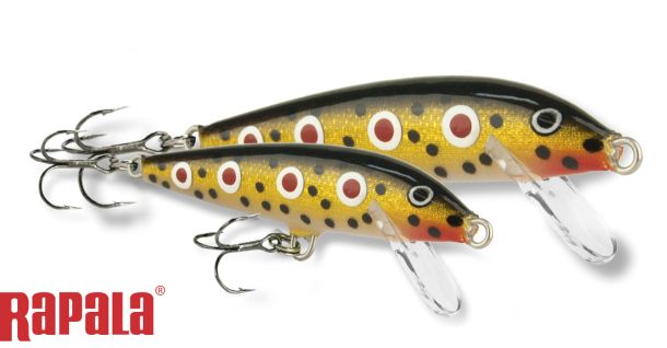 Return of the Spotted Dog